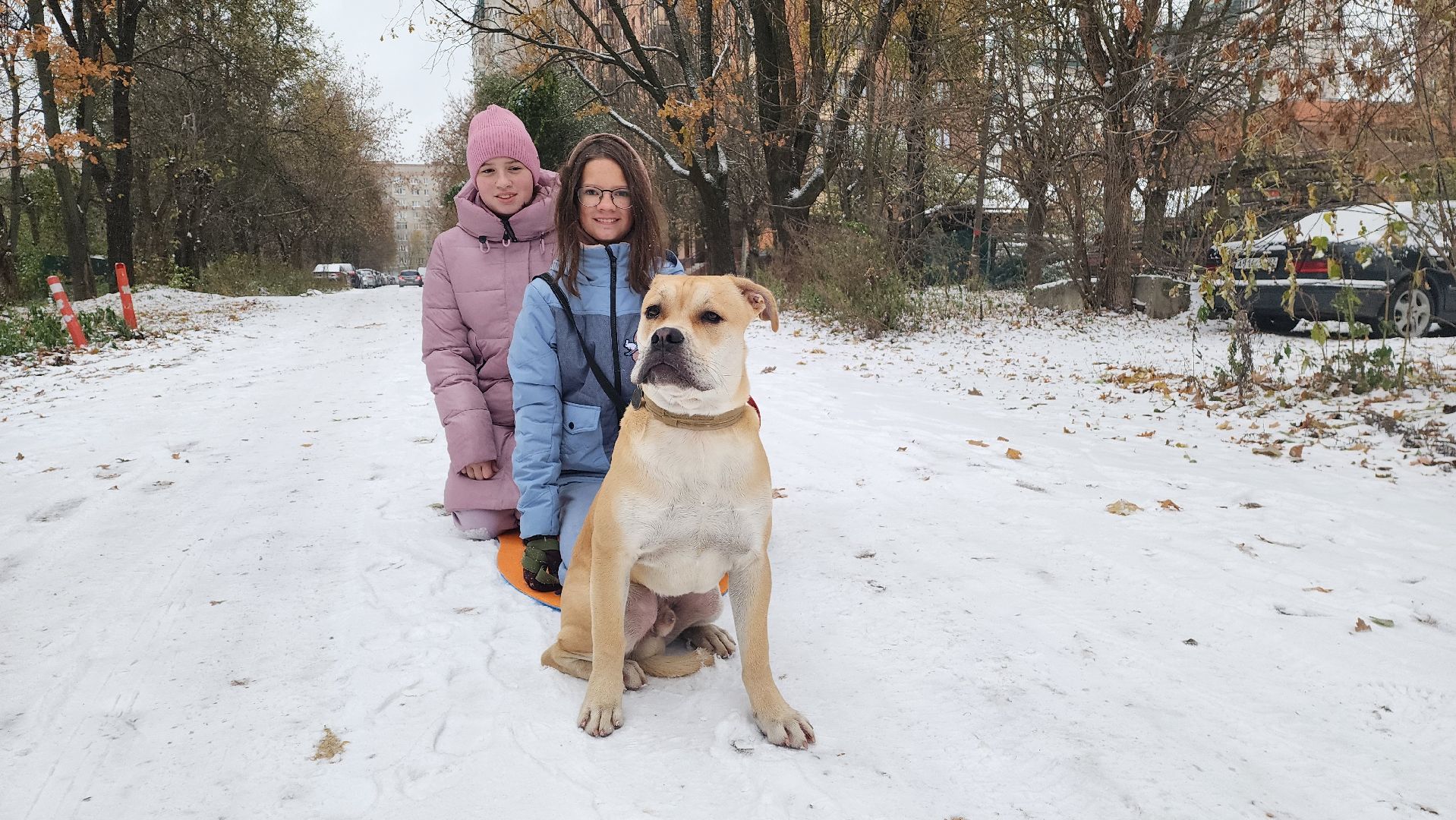 подмосковье, городской округ пушкинский, Ивантеевка, Первый снег, Город это люди, дети,
