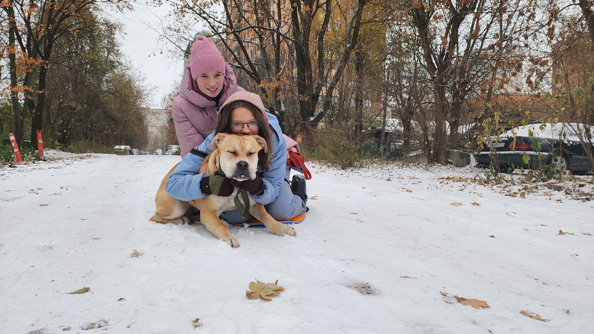 подмосковье, городской округ пушкинский, Ивантеевка, Первый снег, Город это люди, дети,