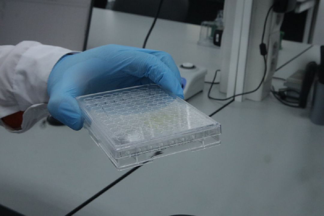 Пущино, медицина, онкология, импортозамещение, лекарства, фармацевтика.