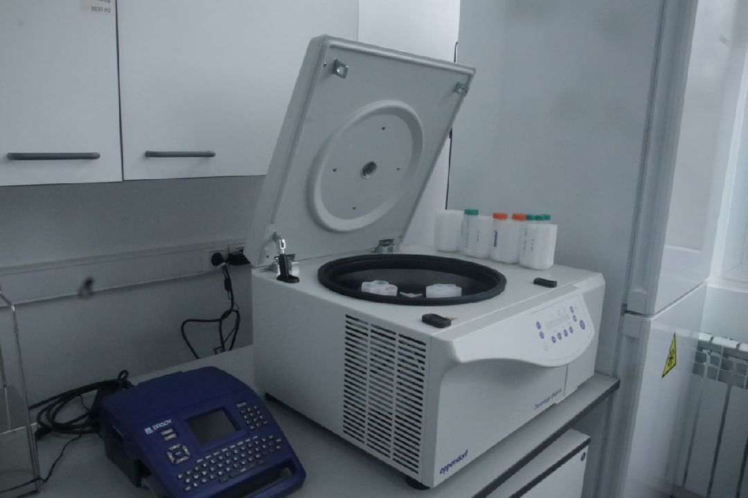 Пущино, медицина, онкология, импортозамещение, лекарства, фармацевтика.