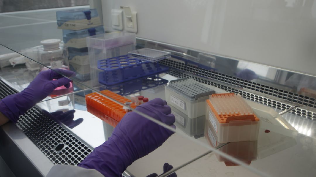 Пущино, медицина, онкология, импортозамещение, лекарства, фармацевтика.