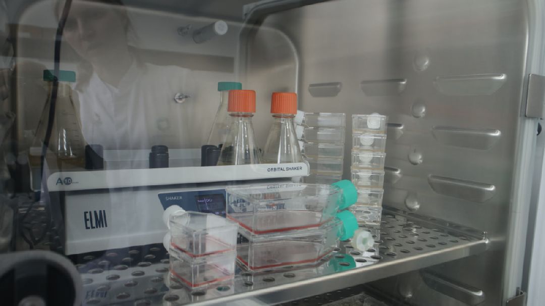 Пущино, медицина, онкология, импортозамещение, лекарства, фармацевтика.