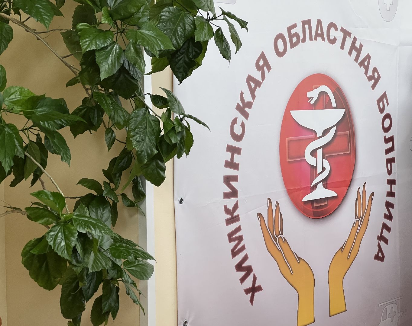 химки, медицина, школа, больница,