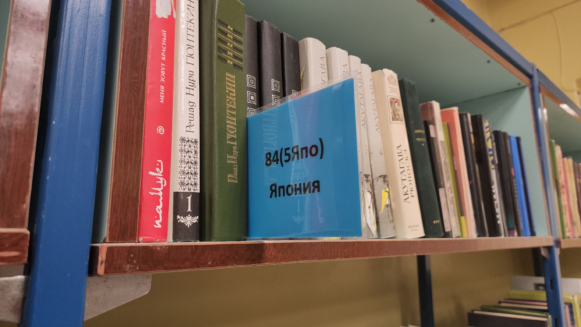 Россия, Япония, Японская культура, Дубна,