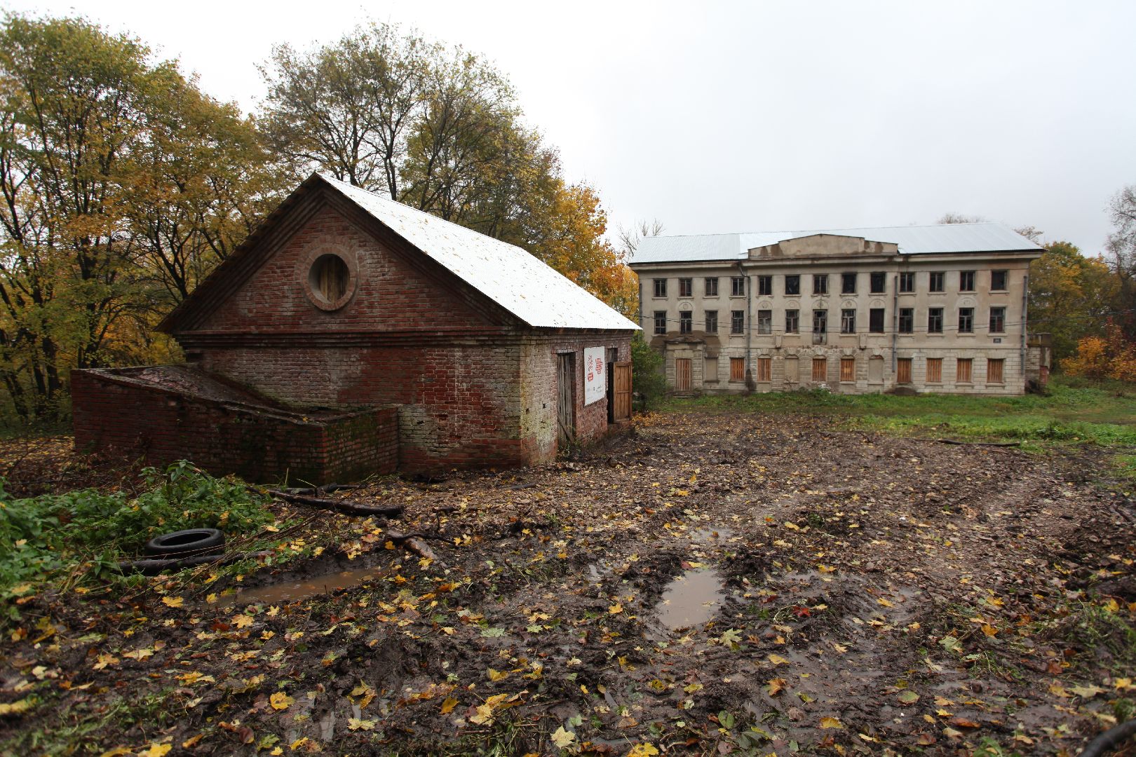 серпухов, Пущино, подмосковье, усадьба Пущино-на-Оке, волонтеры,