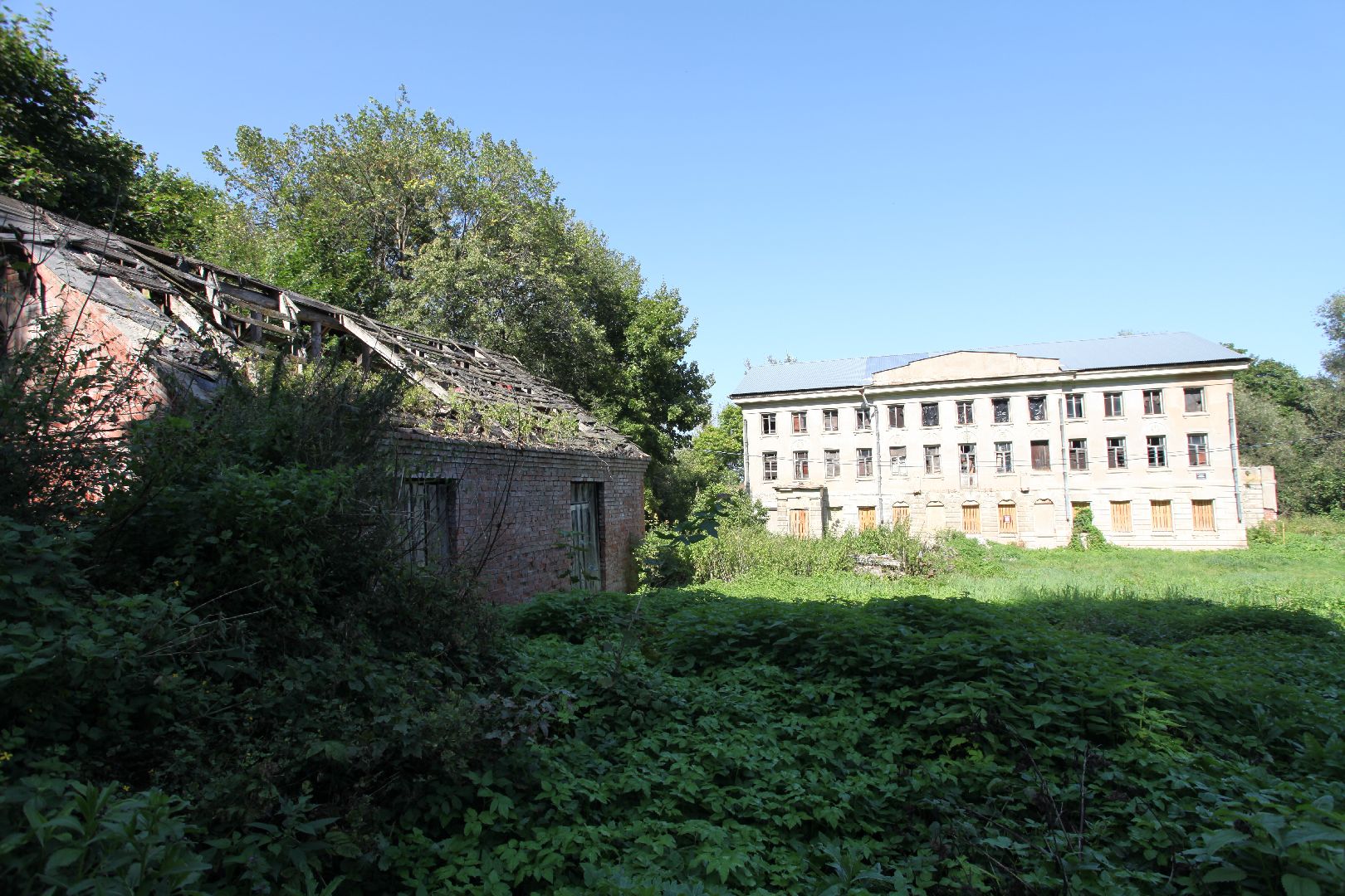 серпухов, Пущино, подмосковье, усадьба Пущино-на-Оке, волонтеры,