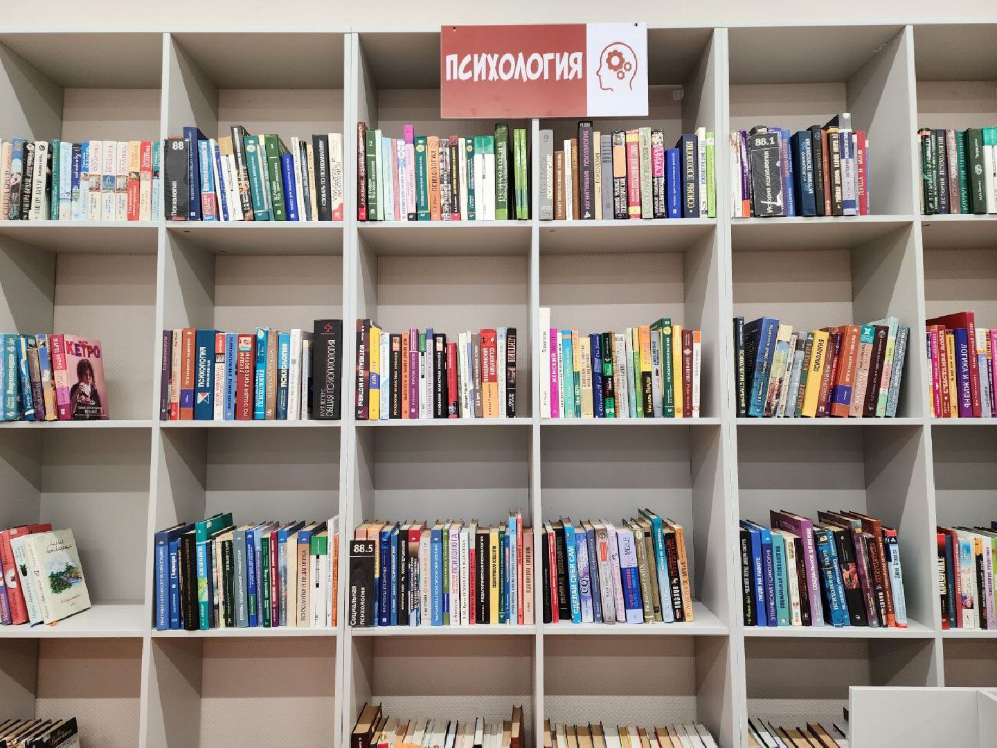 нацпроект, модельная библиотека, видное, культура подмосковья, книги, центр культуры,