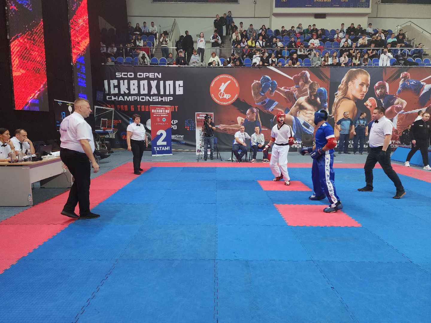 раменское, спорт, международный чемпионат по кикбоксингу,
