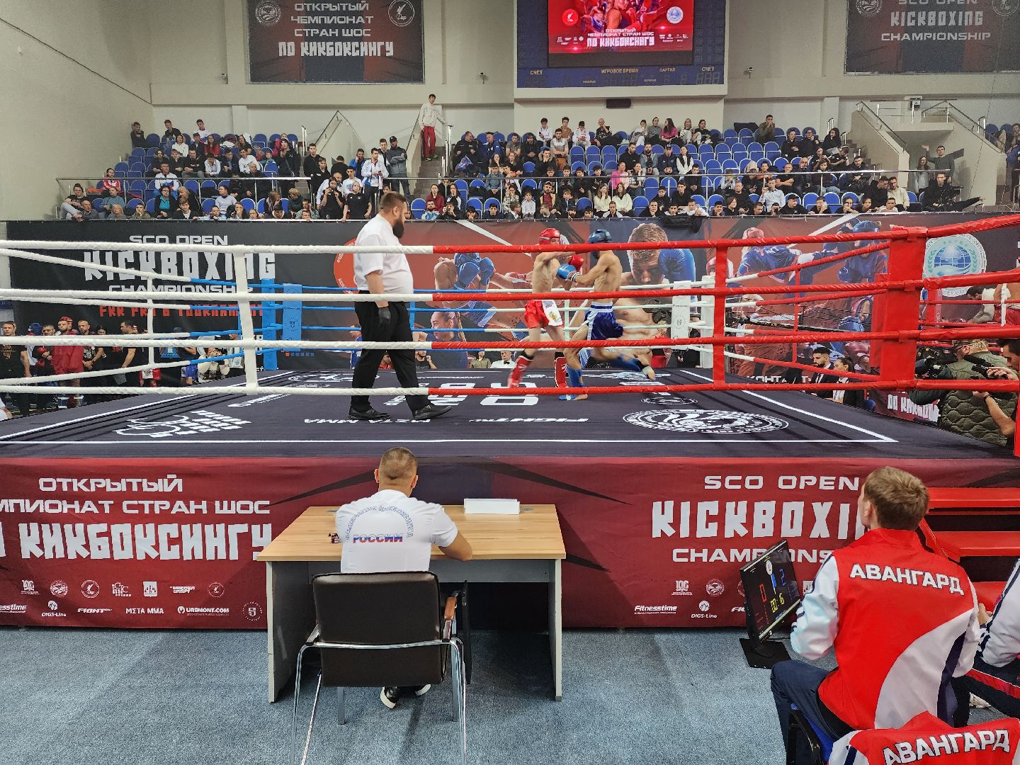 раменское, спорт, международный чемпионат по кикбоксингу,