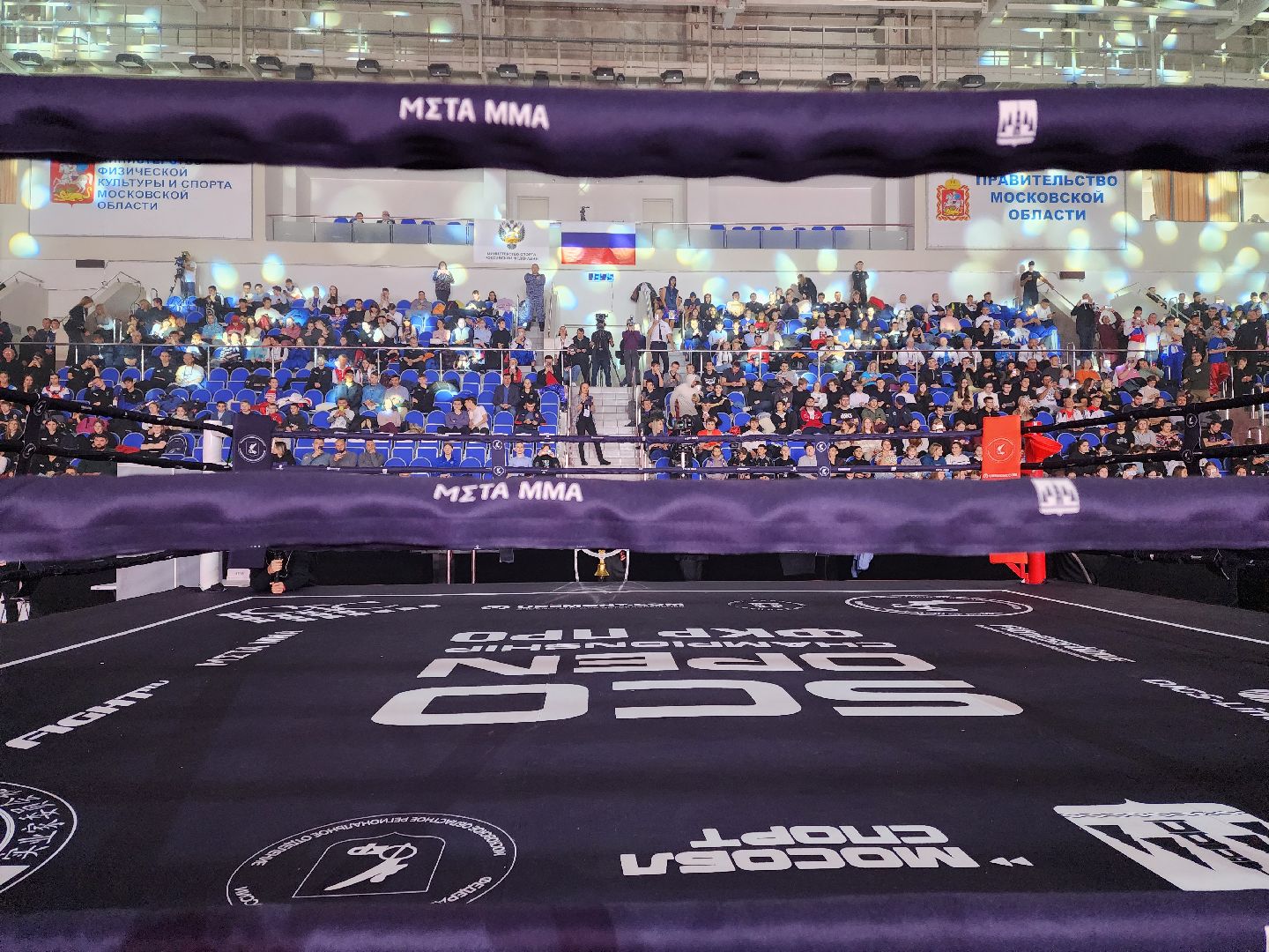 раменское, спорт, международный чемпионат по кикбоксингу,