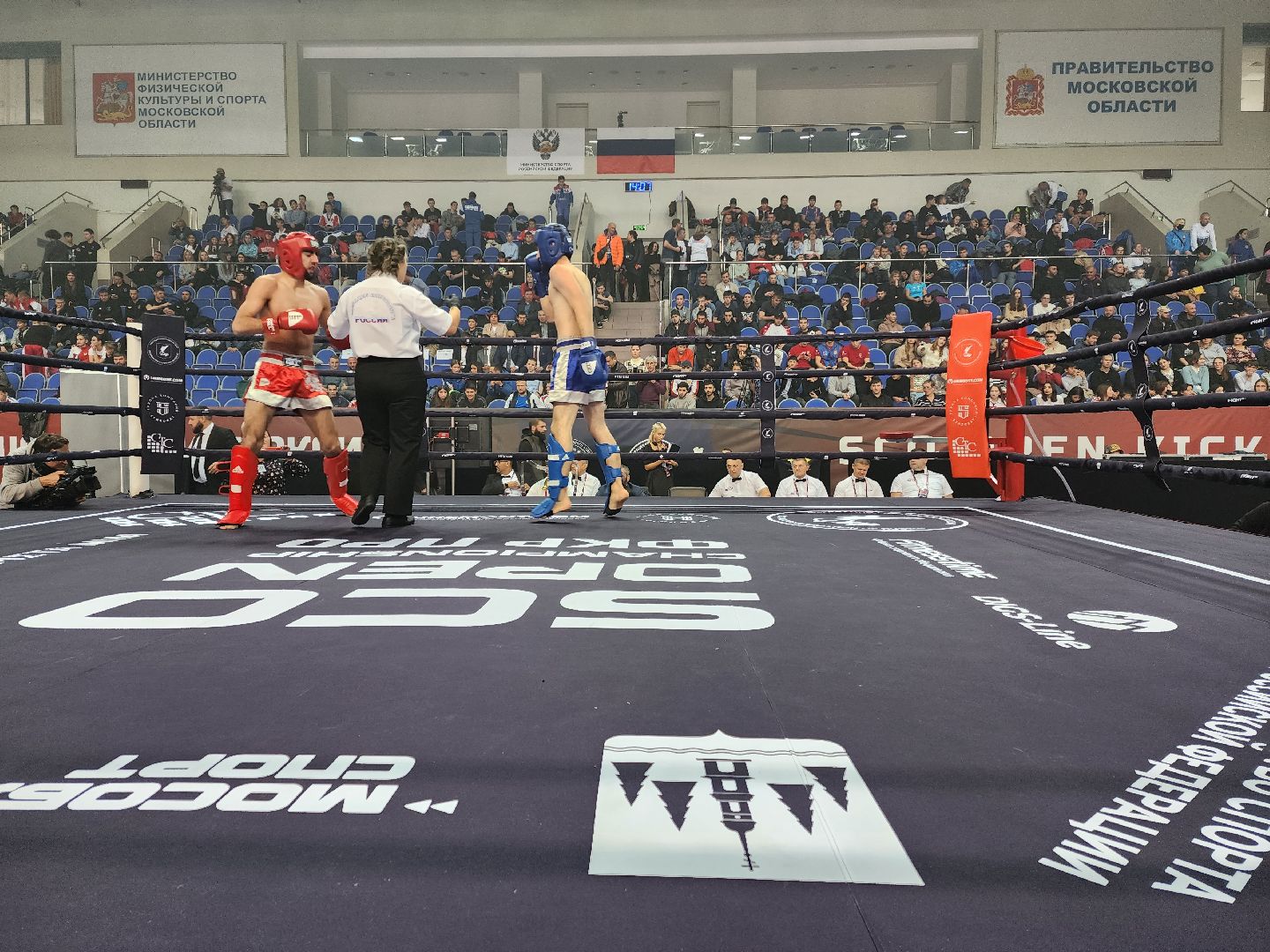 раменское, спорт, международный чемпионат по кикбоксингу,