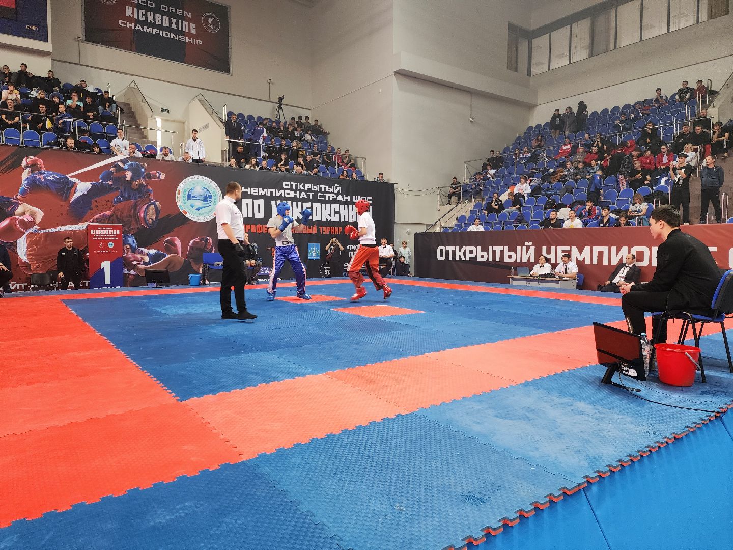 раменское, спорт, международный чемпионат по кикбоксингу,