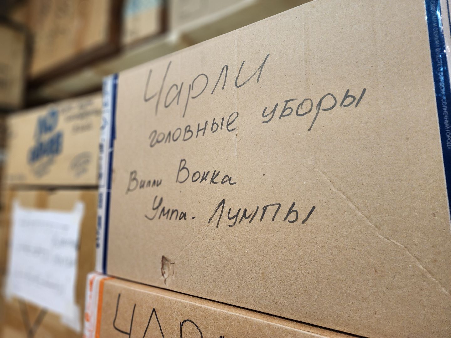 ступино, культура, Оживающие книги,