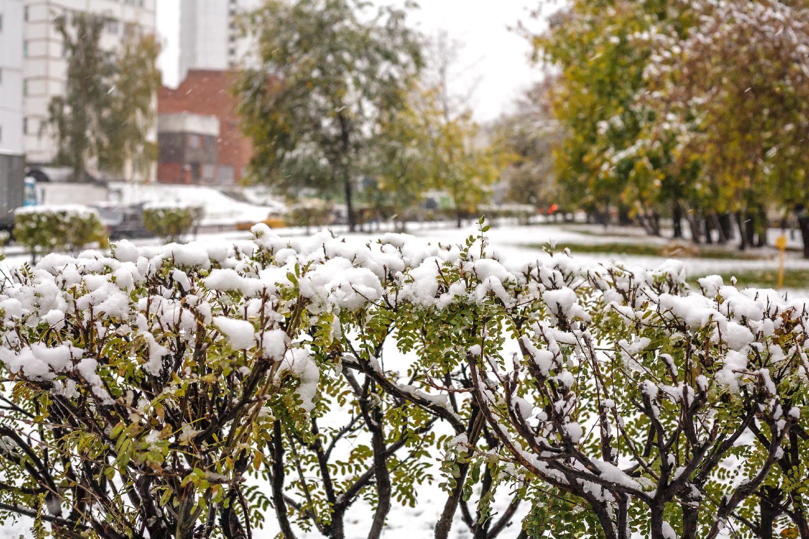 Люберцы, коммунальщики, снег,