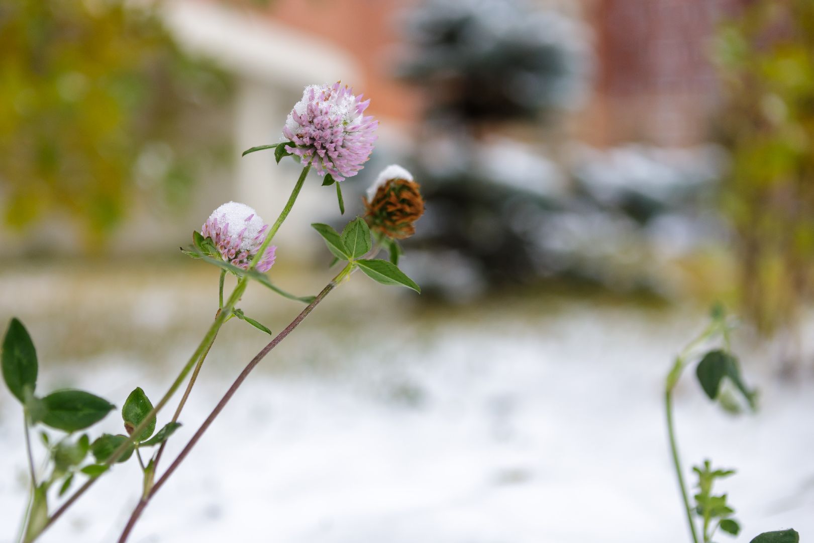 Люберцы, коммунальщики, снег,