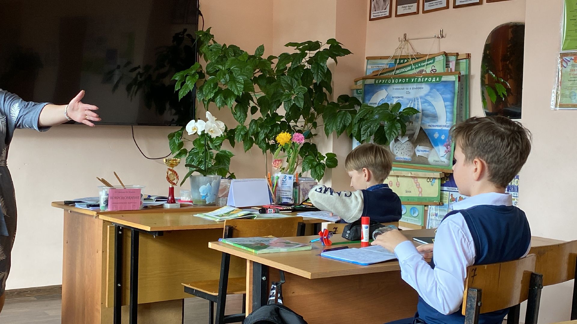 волоколамск, спасс, школа, судниково, учитель, лесничество, школьная жизнь,