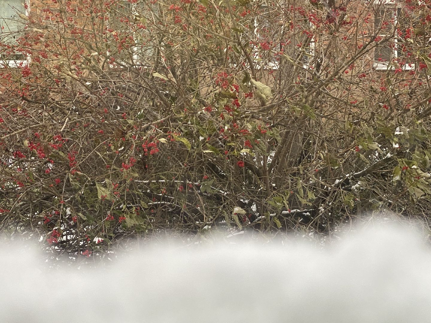 волоколамск, Расчистка снега,