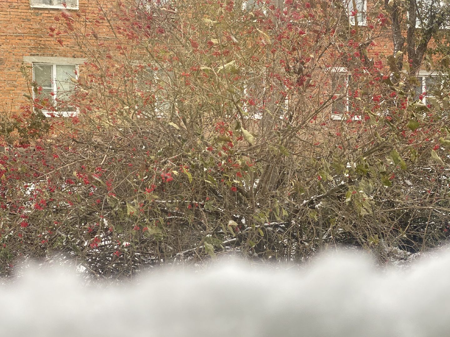 волоколамск, Расчистка снега,