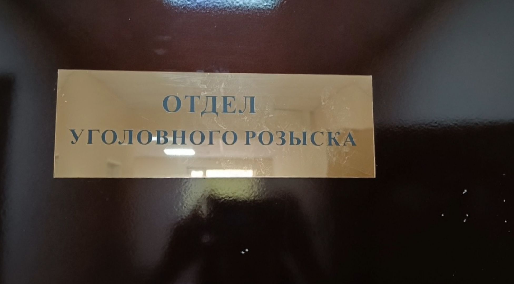 лобня, мошенники, полиция,