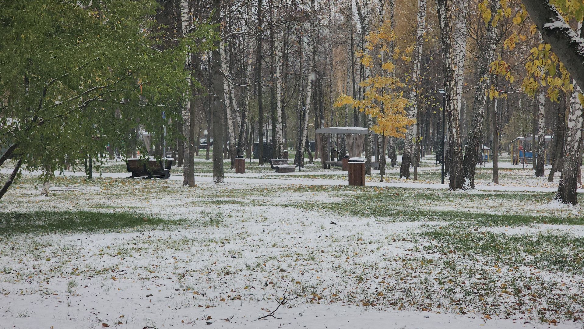 Пушкино, Первый снег, Городской округ Пушкинский, ЖКХ, уборка снега, Зима в Подмосковье, общество, дети, люди,
