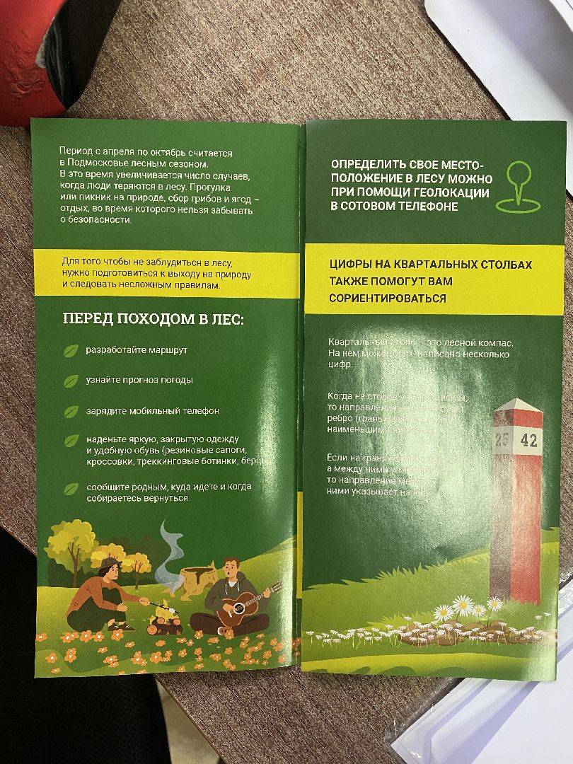 волоколамск, лес, лесничий, люди, лесные маршруты, инструкция,