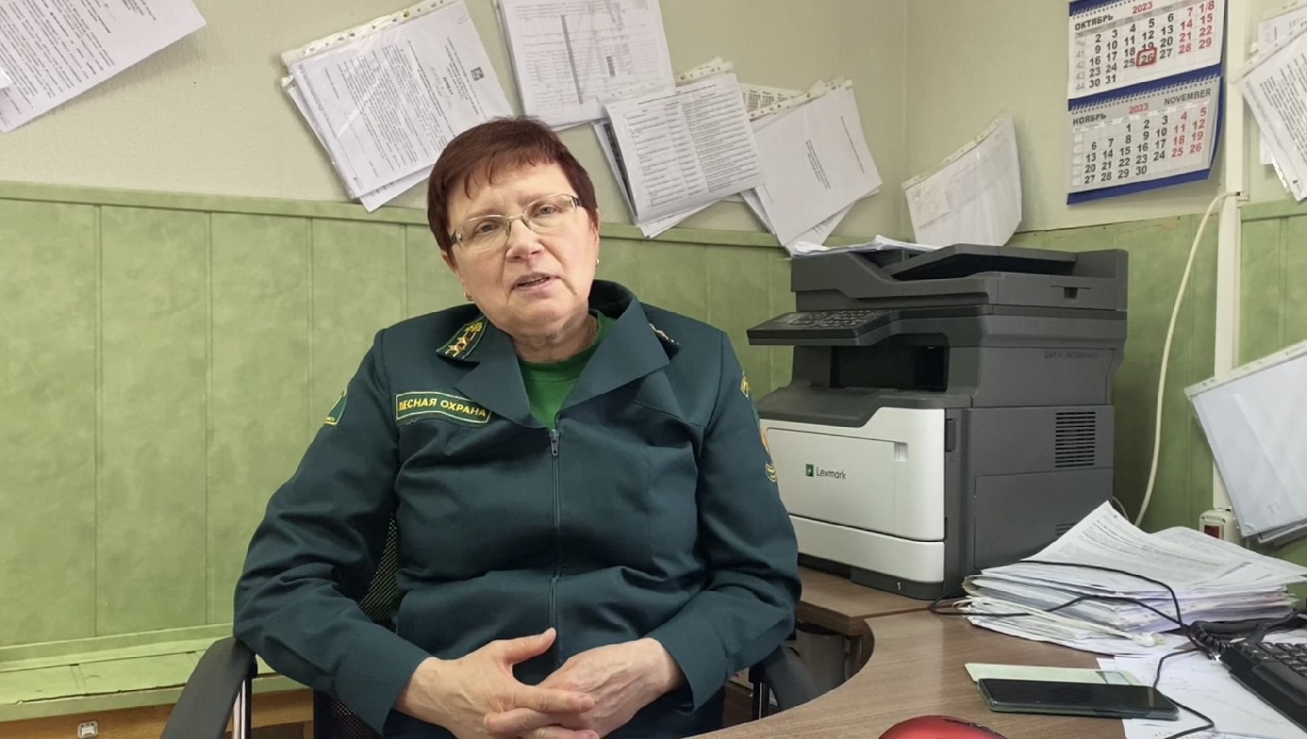 волоколамск, лес, лесничий, люди, лесные маршруты, инструкция,