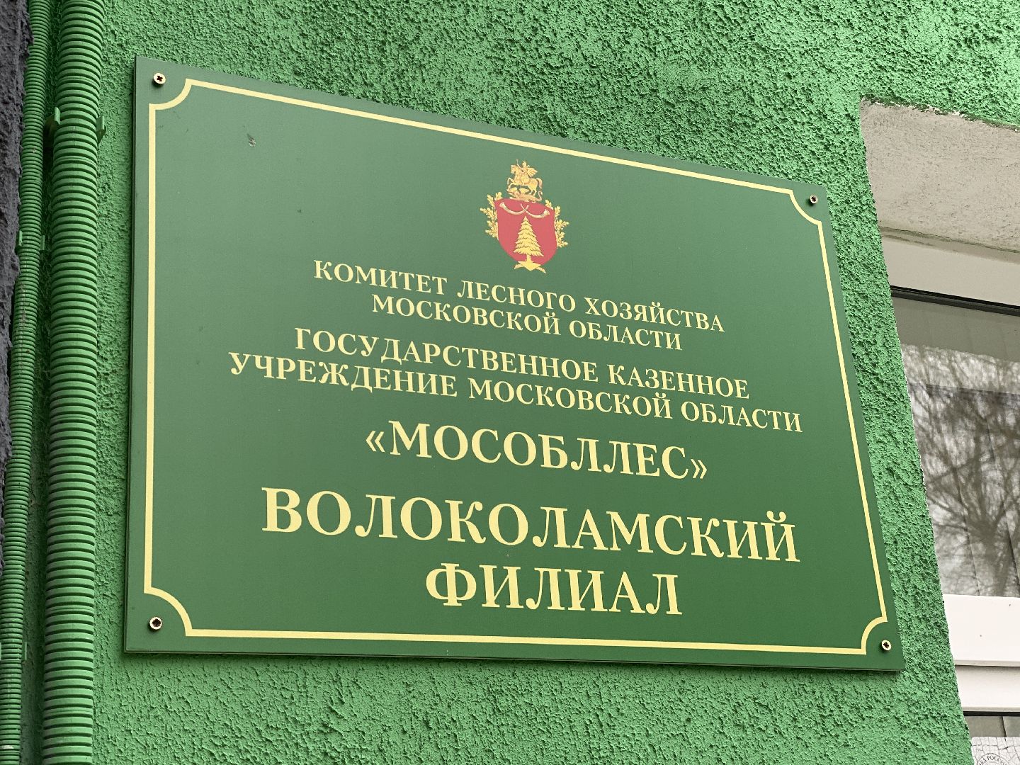 волоколамск, лес, лесничий, люди, лесные маршруты, инструкция,