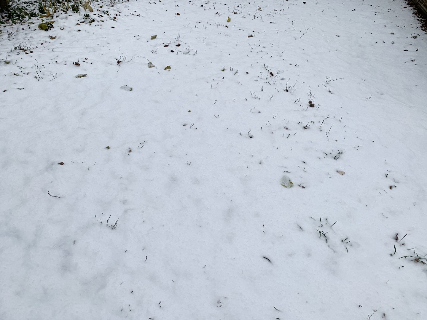 Балашиха, Подмосковье, ЖКХ, Первый снег,