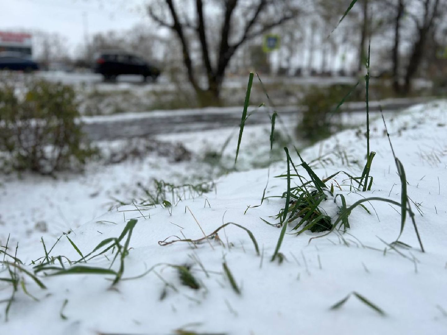 воскресенск, снег, дороги, уборка снега,