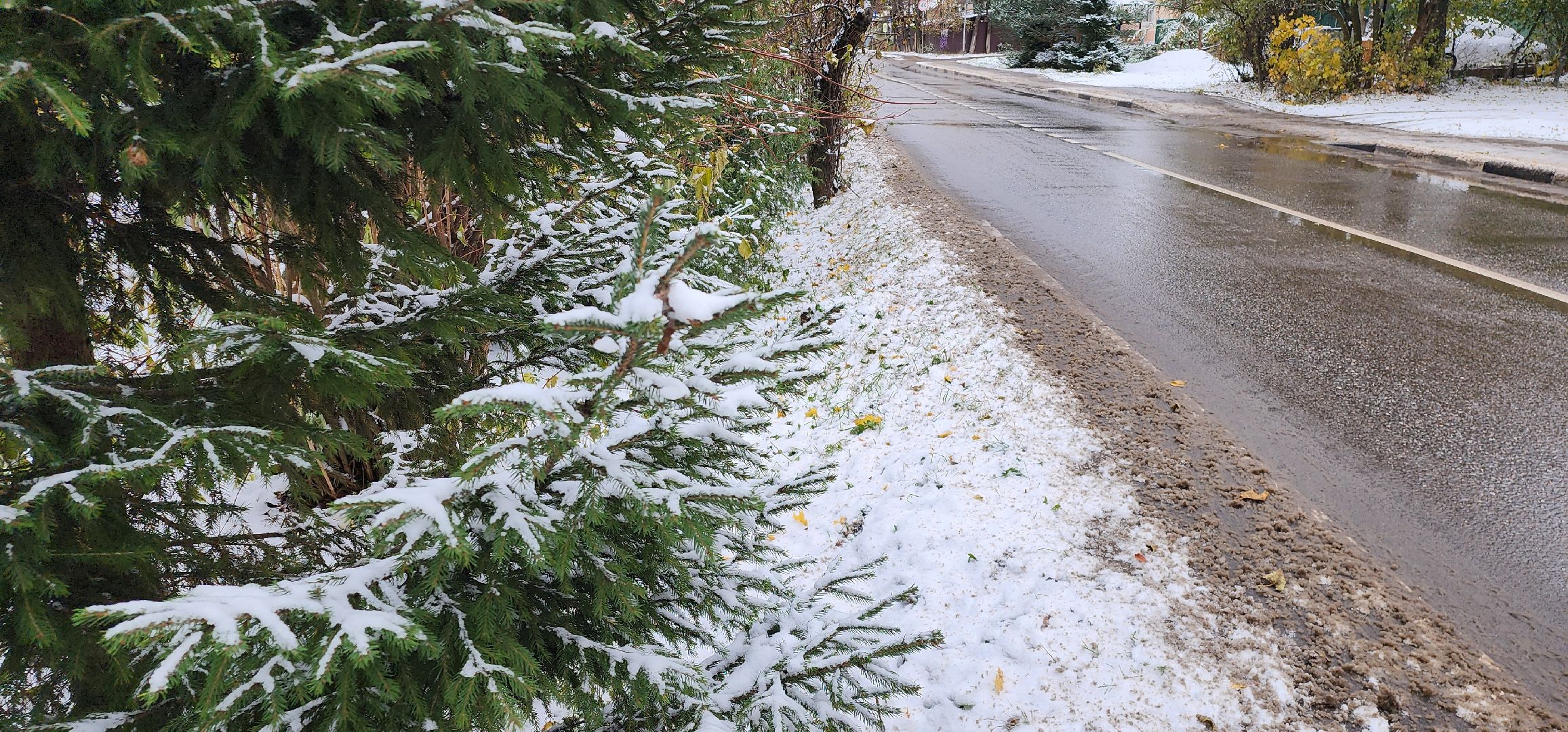 первый снег, уборка дорог, аэропорт Домодедово,