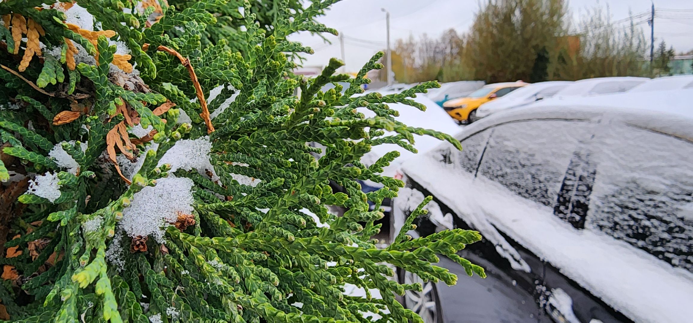 первый снег, уборка дорог, аэропорт Домодедово,