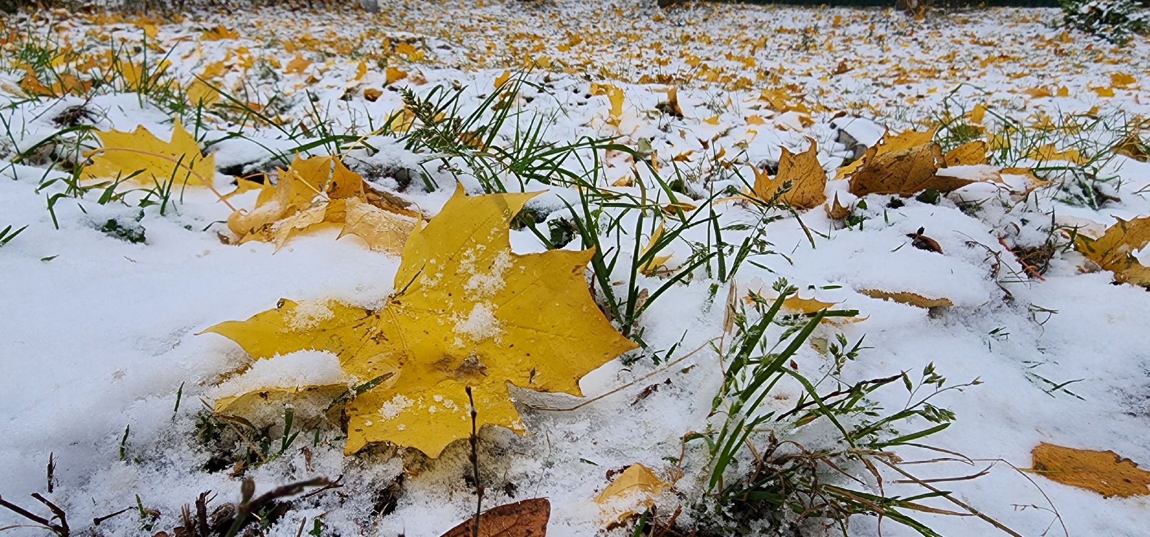 первый снег, уборка дорог, аэропорт Домодедово,