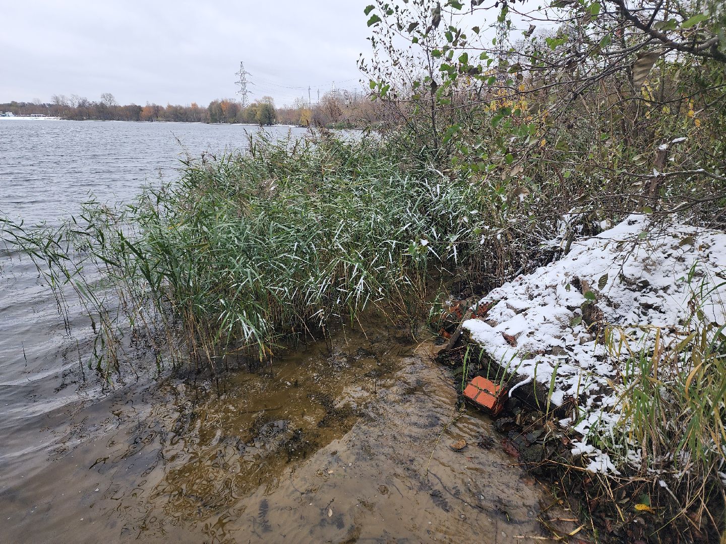 моржевание, закаливание, ЗОЖ, первый мороз, первый снег, выживший, ледяная вода, зимняя природа, зимнее озеро,