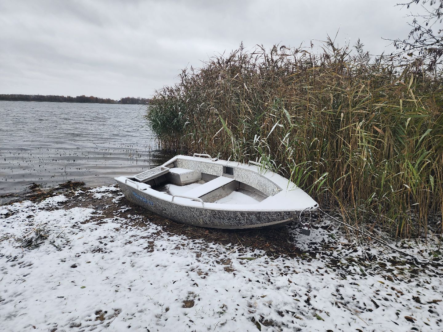 моржевание, закаливание, ЗОЖ, первый мороз, первый снег, выживший, ледяная вода, зимняя природа, зимнее озеро,