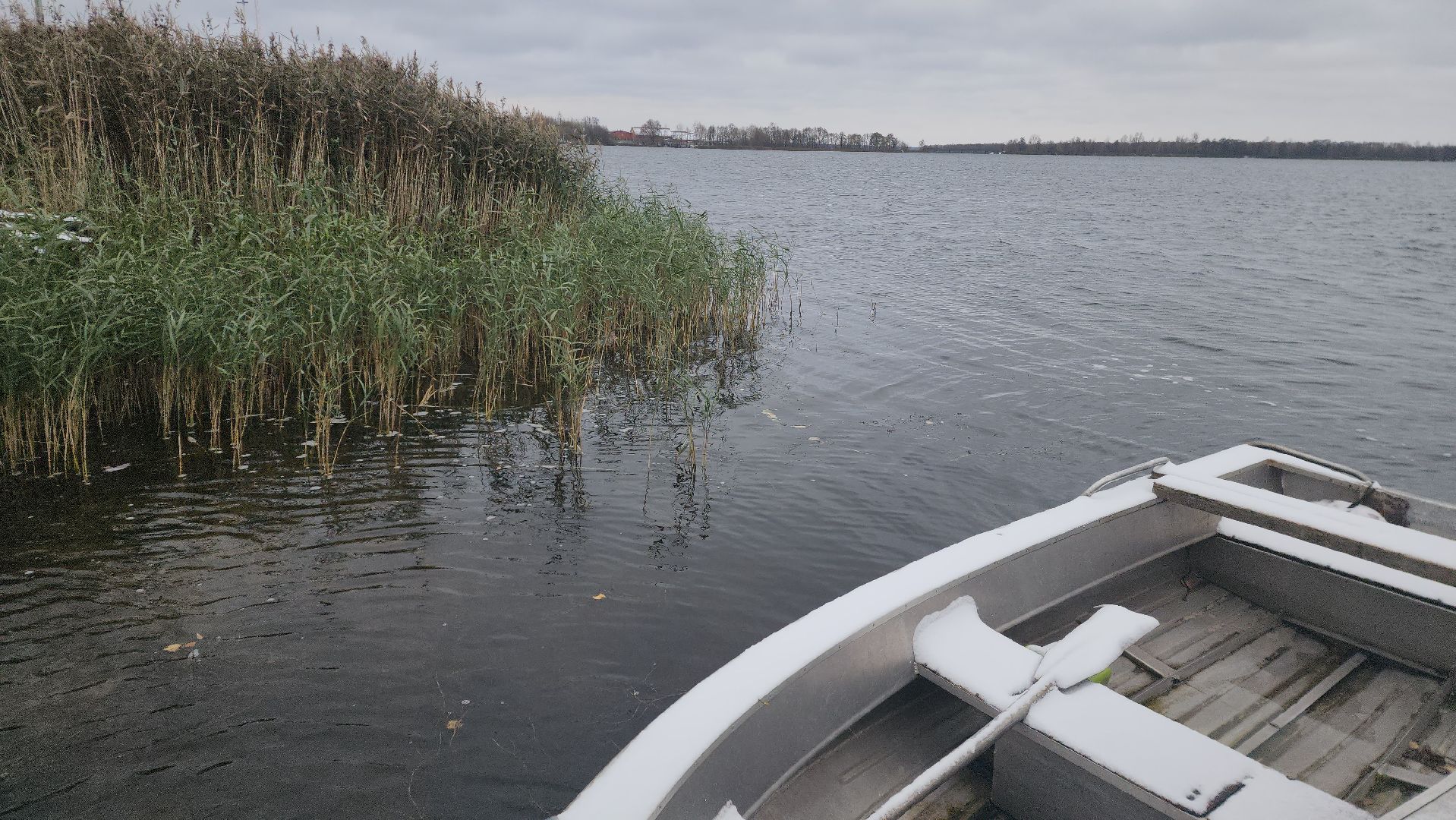моржевание, закаливание, ЗОЖ, первый мороз, первый снег, выживший, ледяная вода, зимняя природа, зимнее озеро,