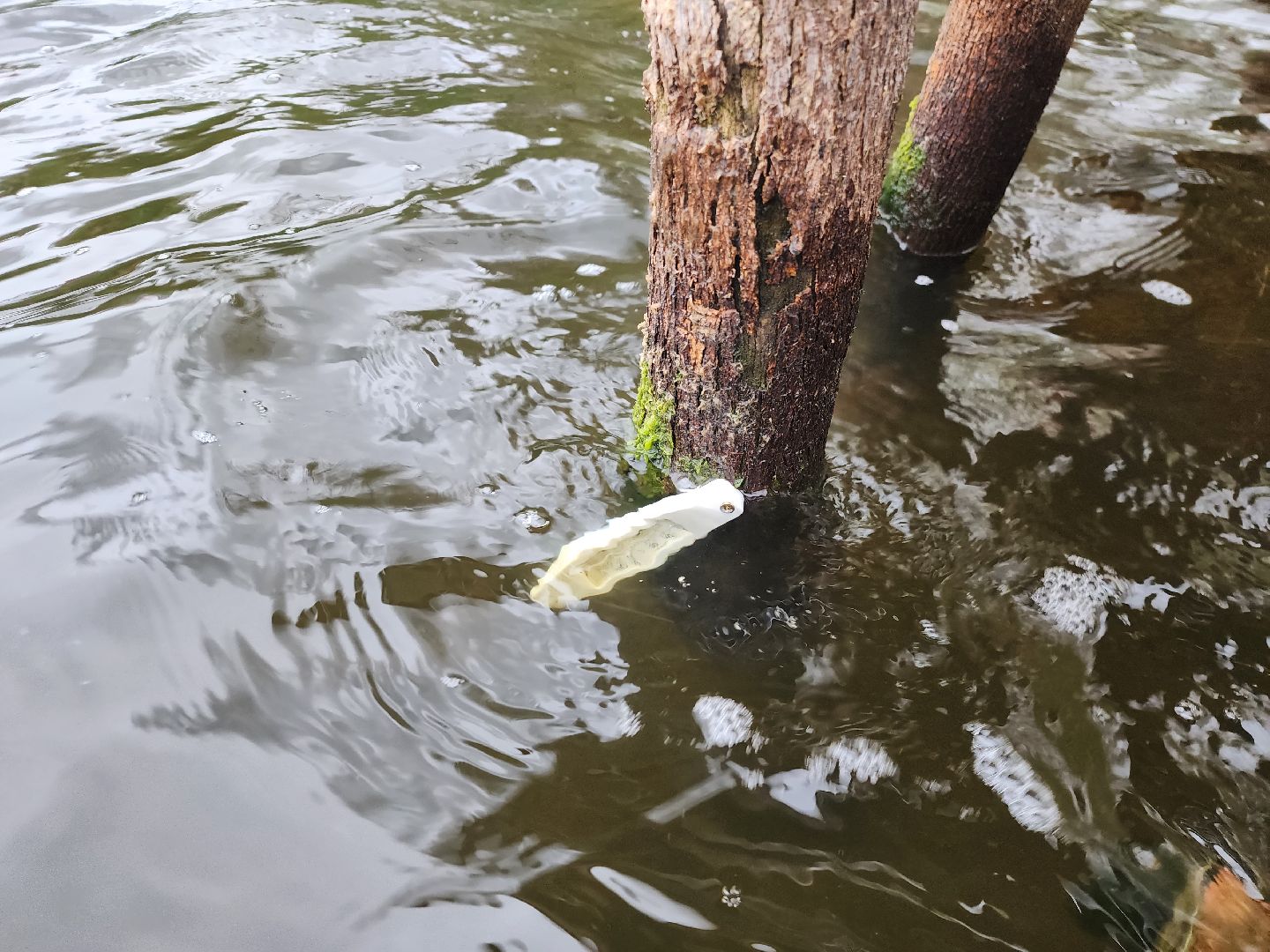 моржевание, закаливание, ЗОЖ, первый мороз, первый снег, выживший, ледяная вода, зимняя природа, зимнее озеро,