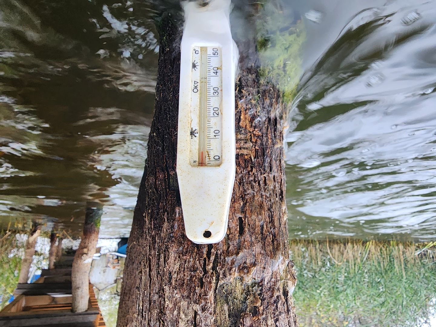 моржевание, закаливание, ЗОЖ, первый мороз, первый снег, выживший, ледяная вода, зимняя природа, зимнее озеро,