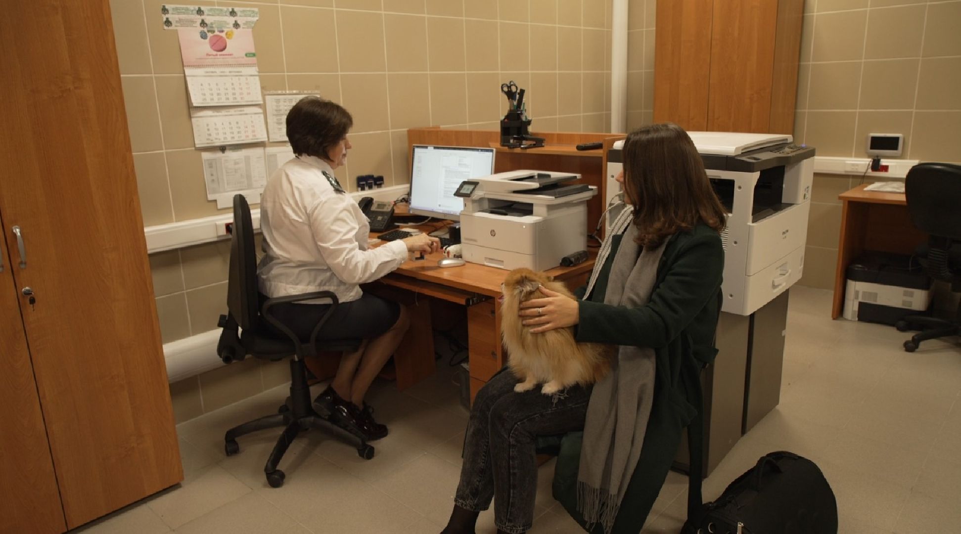 перелет с собакой, животные в самолете, аэропорт Домодедово,