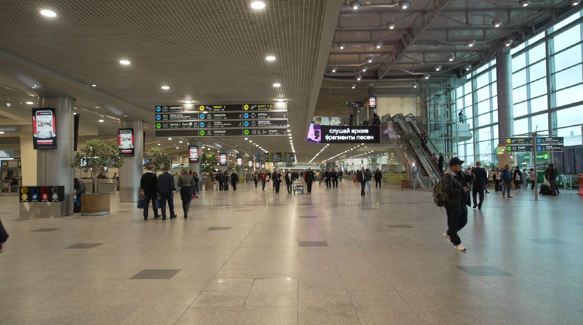 перелет с собакой, животные в самолете, аэропорт Домодедово,