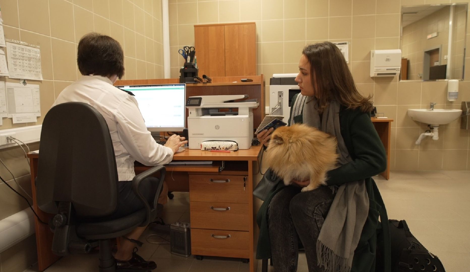 перелет с собакой, животные в самолете, аэропорт Домодедово,