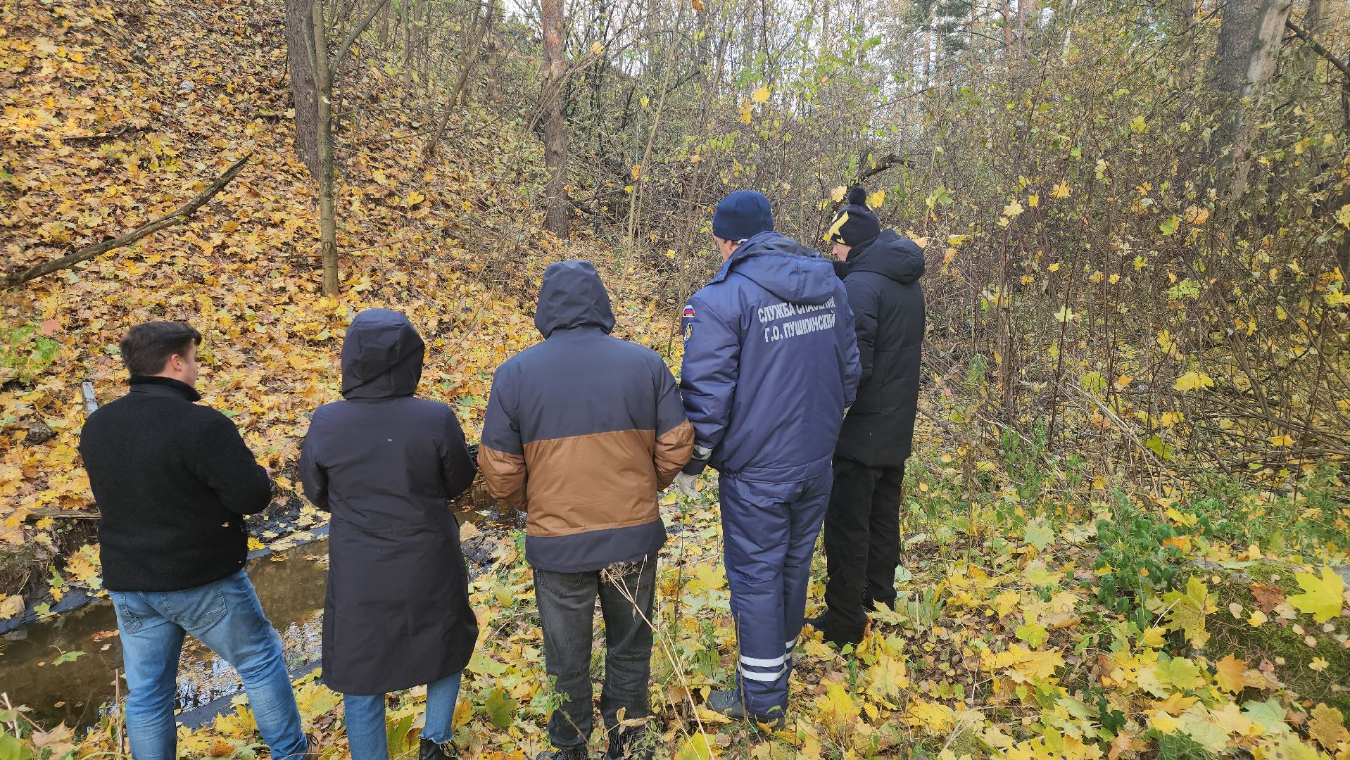 Городской округ Пушкинский, Пушкино, Кавезино, экология, общество, люди,
