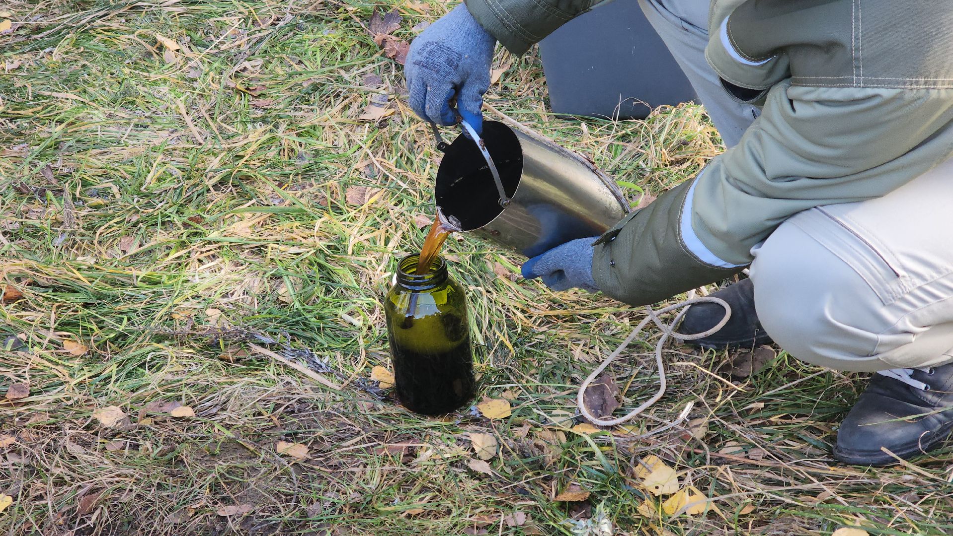 Городской округ Пушкинский, Пушкино, Кавезино, экология, общество, люди,