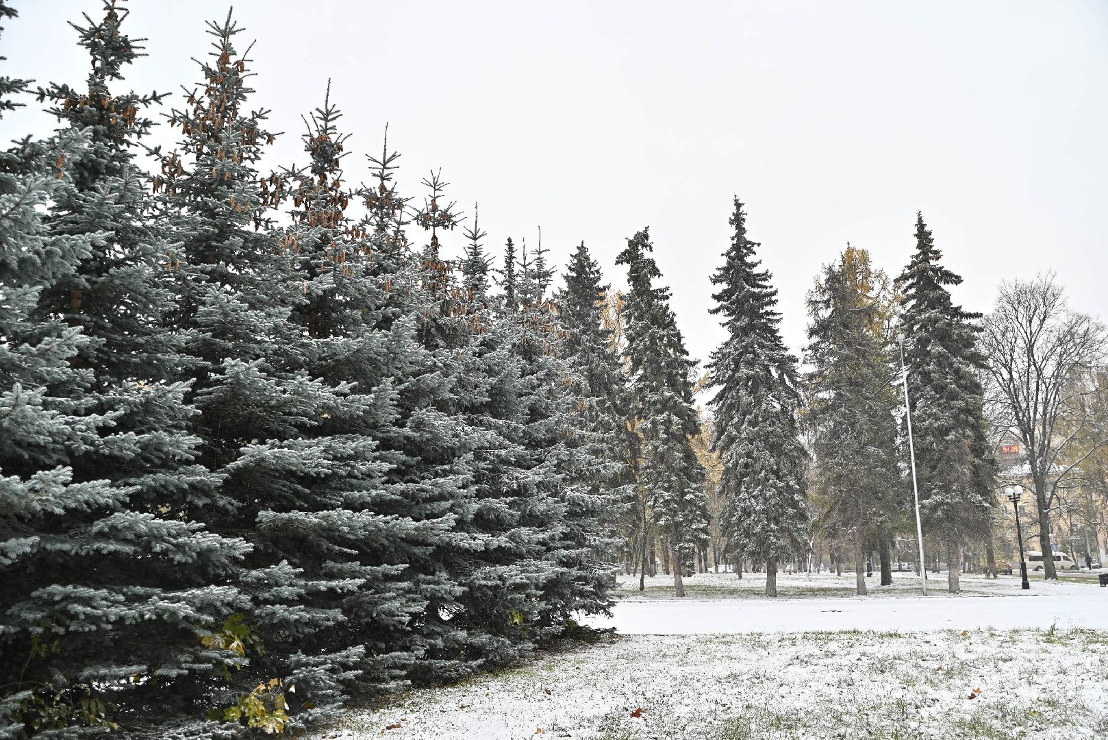 лыткарино, жкх, зима, снег, уборка,