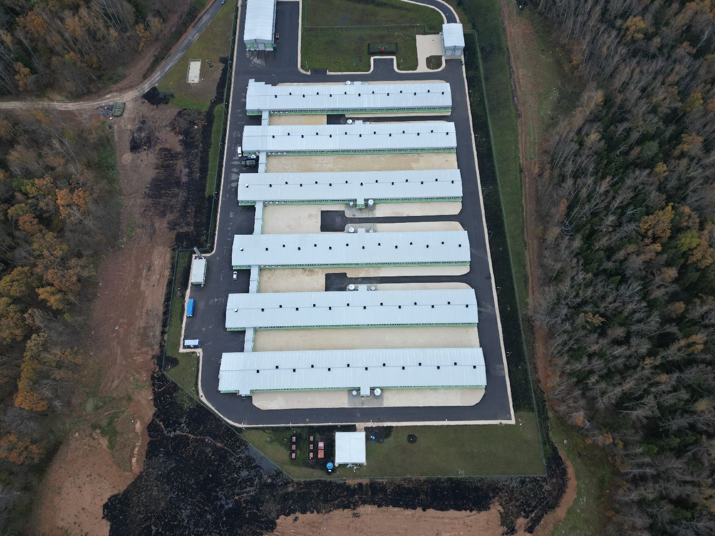 Сергиев Посад, экономика, импортозамещение,видео с коптера,