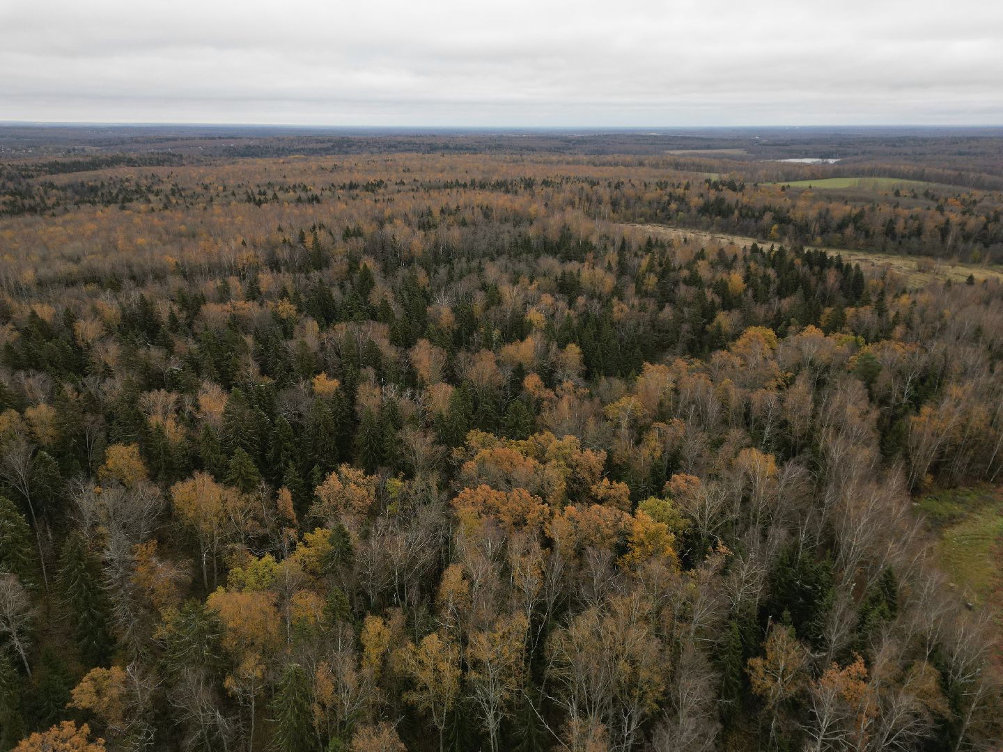 Сергиев Посад, экономика, импортозамещение,видео с коптера,
