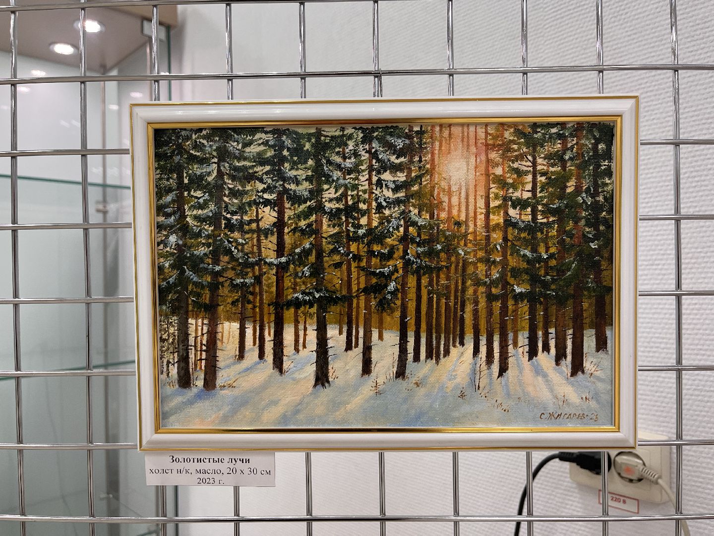 шаховская, художник, военные, выставка,