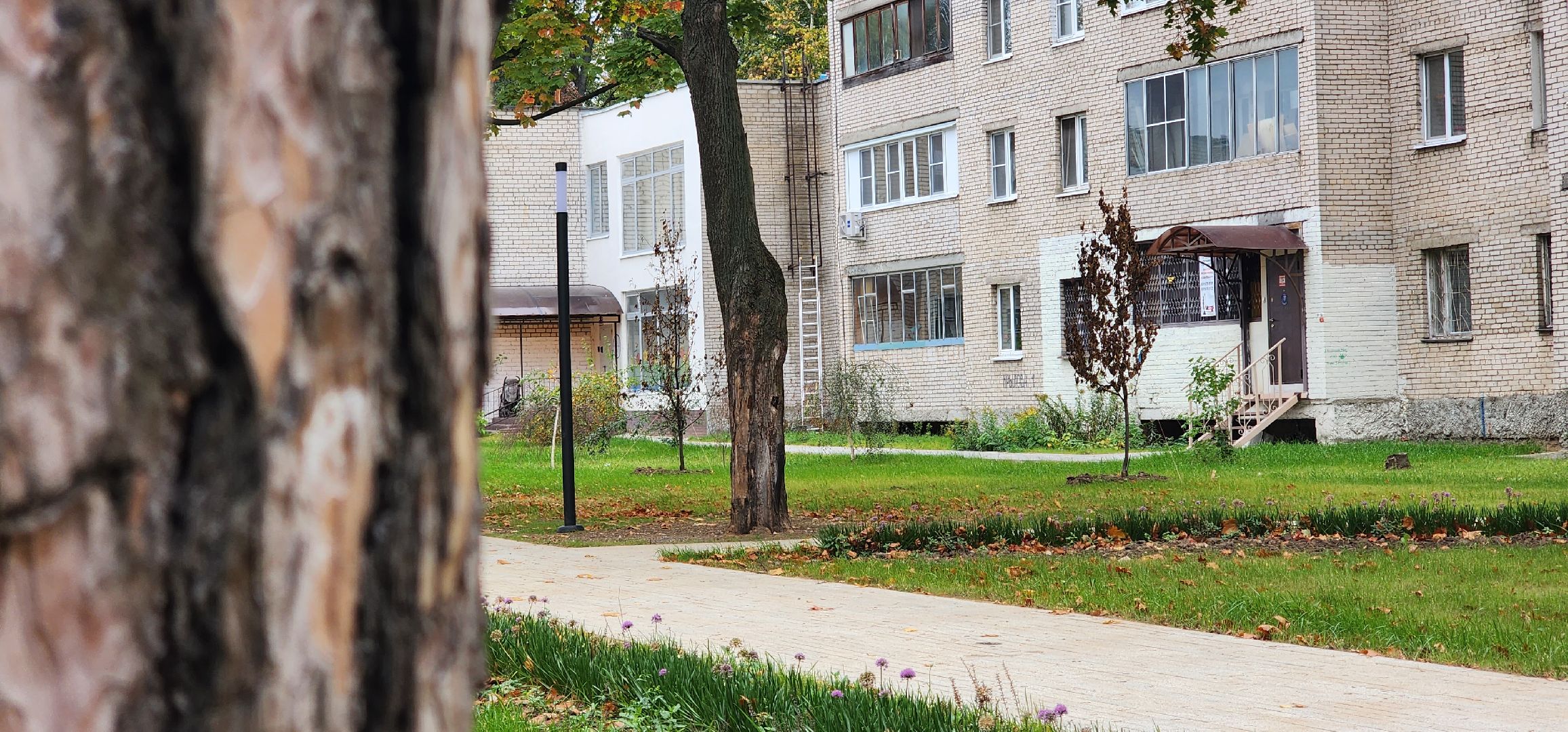 Пушкино, ЗАГС, молодожены, сквер, городская среда, общество, люди, семья, дети,