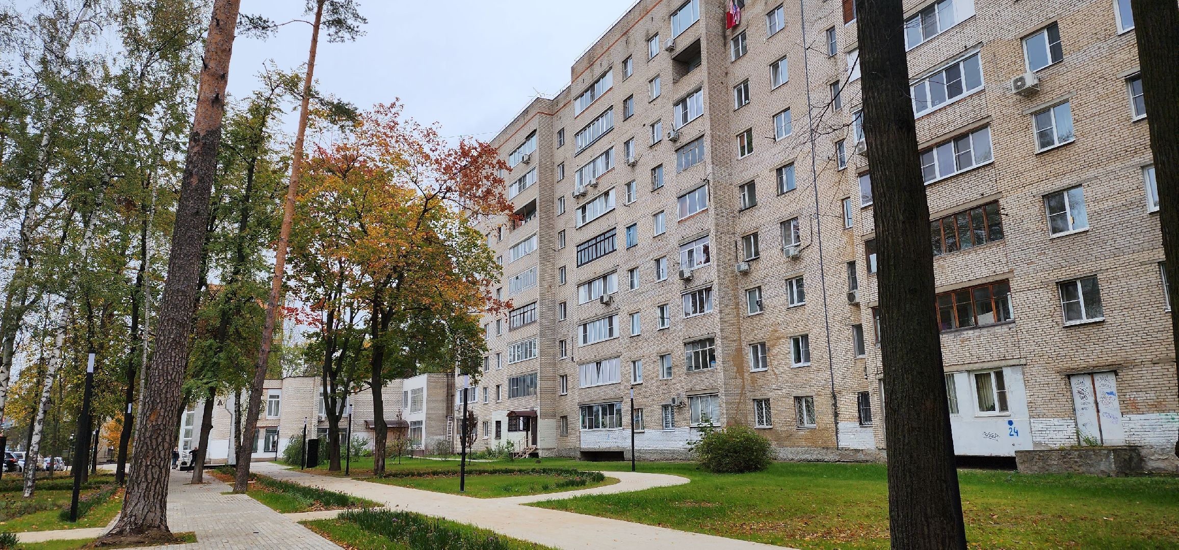 Пушкино, ЗАГС, молодожены, сквер, городская среда, общество, люди, семья, дети,