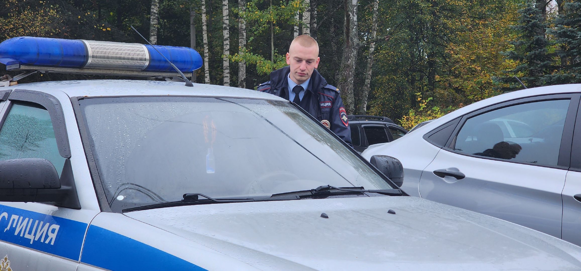 Полиция, МВД России, Полиция Пушкино, Народный участковый, безопасность,