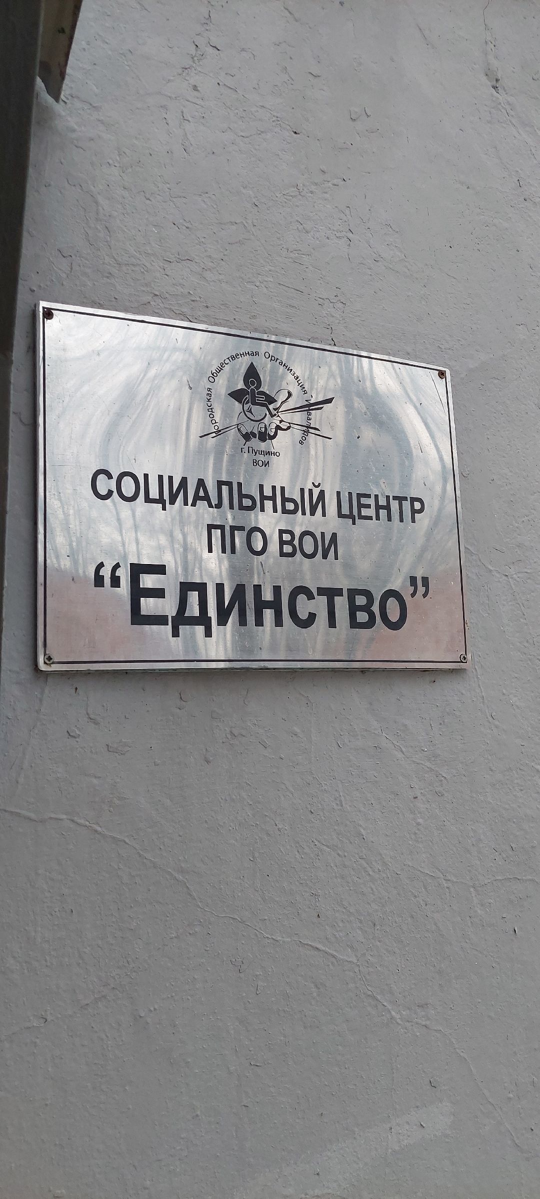 Пущино Общество